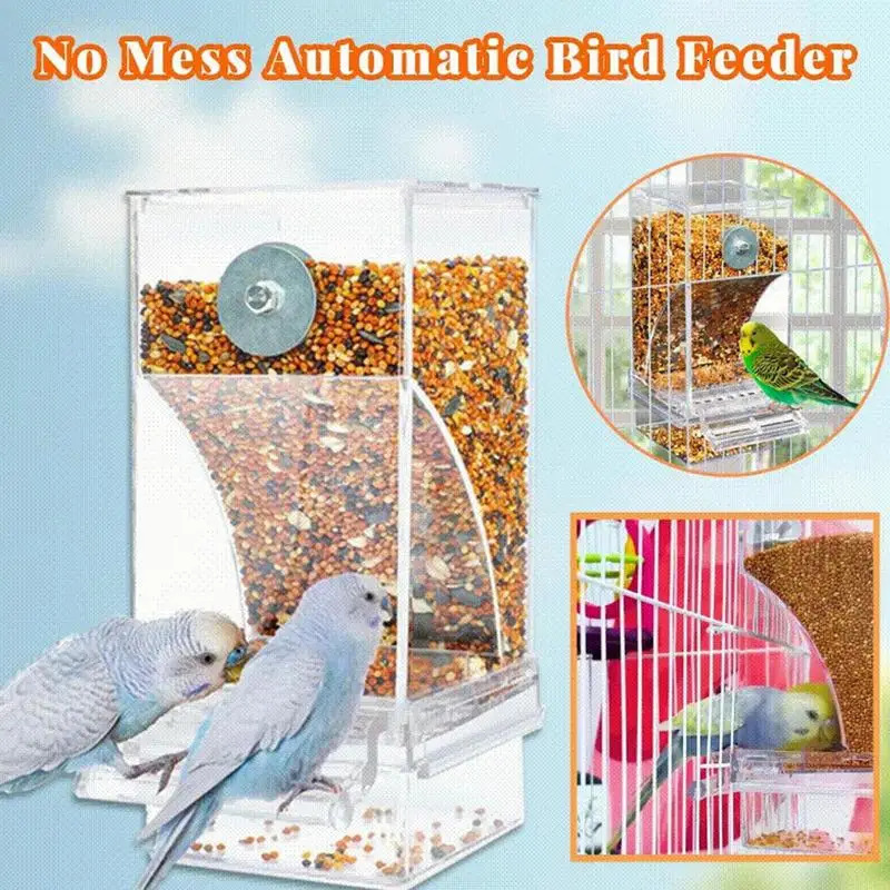 Automatic Parrot Food Feeder No Messes Bird Feeders Acrylic Seed Container Cage Accessories For Small And Medium Parakeets 250320