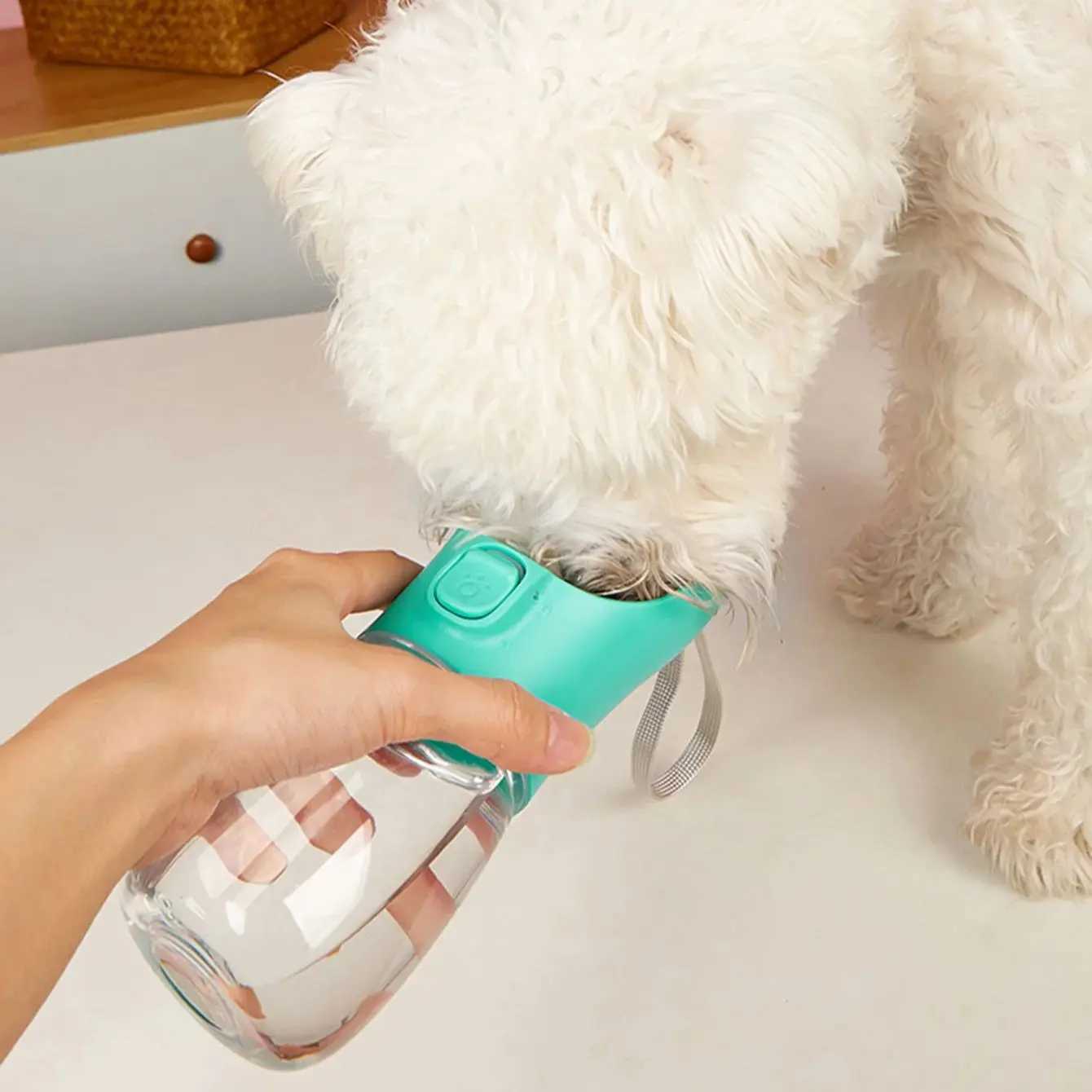 Pet Portable Dog Water Bottle for Small Large Dogs Cats Outdoor Hiking Leakproof Puppy Drinking Bowls Golden Retriever Supplies Y250319