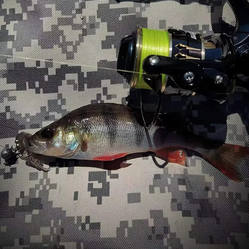 LEYDUN Micro Fishing Lines 8 Strands Braided PE 300m Japan Smooth Multifilament Line Sea Fishing Carp Fly Wire Line Tool 250320