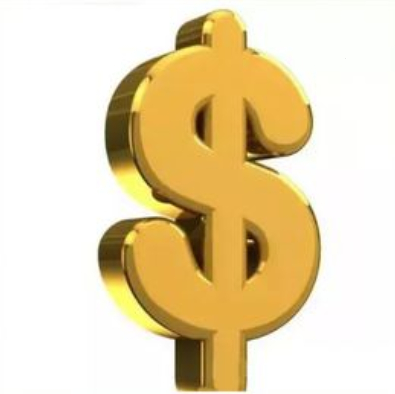 New vip fast payment for other items or high quality fashion brand items plz contact customer service before you pay