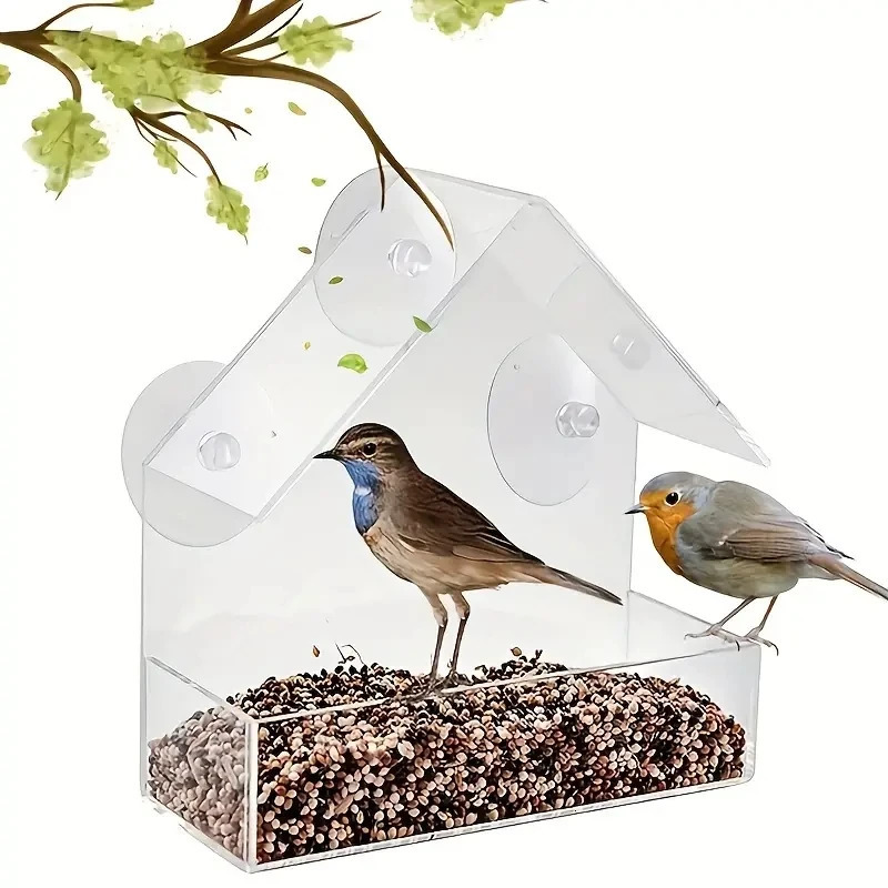 Acrylic Bird Feeder Clear Window Outside Hanging House with Suction Cup for Garden Outdoor Backyard Wildlife Birding 250320