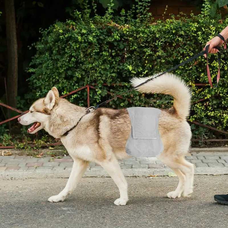 Pet diapers are used for men dogs leak proof dogs and women. Diapers are used for periodic dog urine training including dog urine diapers Y250320