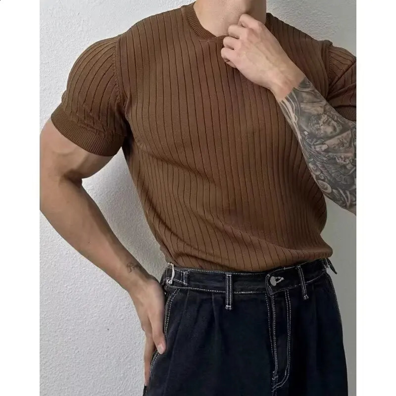 Summer Men Short Sleeve Polo Shirts Fashion Casual t-Shirts Breathable Knitted Tops Soild Turn-Down Collar Polo Tee Man Clothes 250319