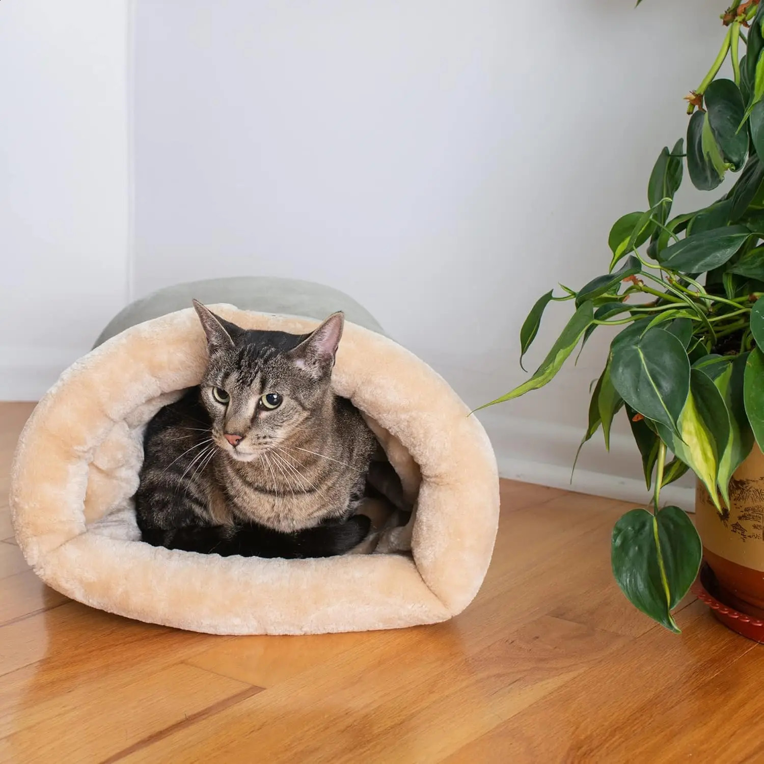Autumn and winter cat sleeping bag semi enclosed nest warm small mediumsized pet that can be disassembled cleaned 250312