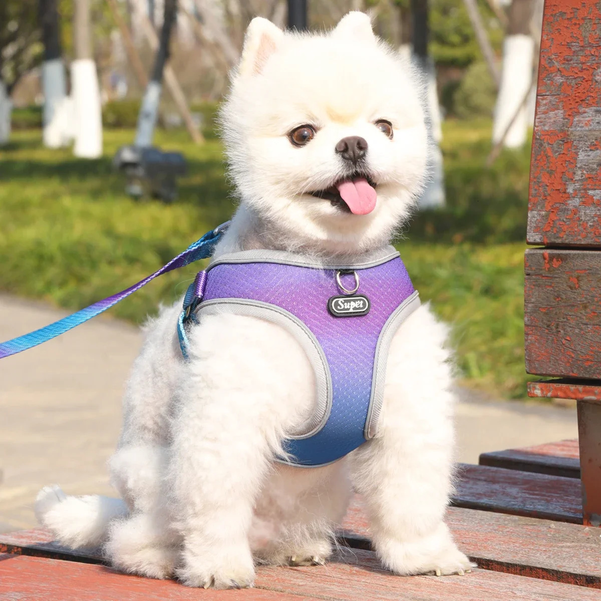 1pc Dog Harness Small Medium Pet Dog Ombre Harness and Leash Set. Airtag cat collar Dogs stuff Leash Flea tick control Pets 250320