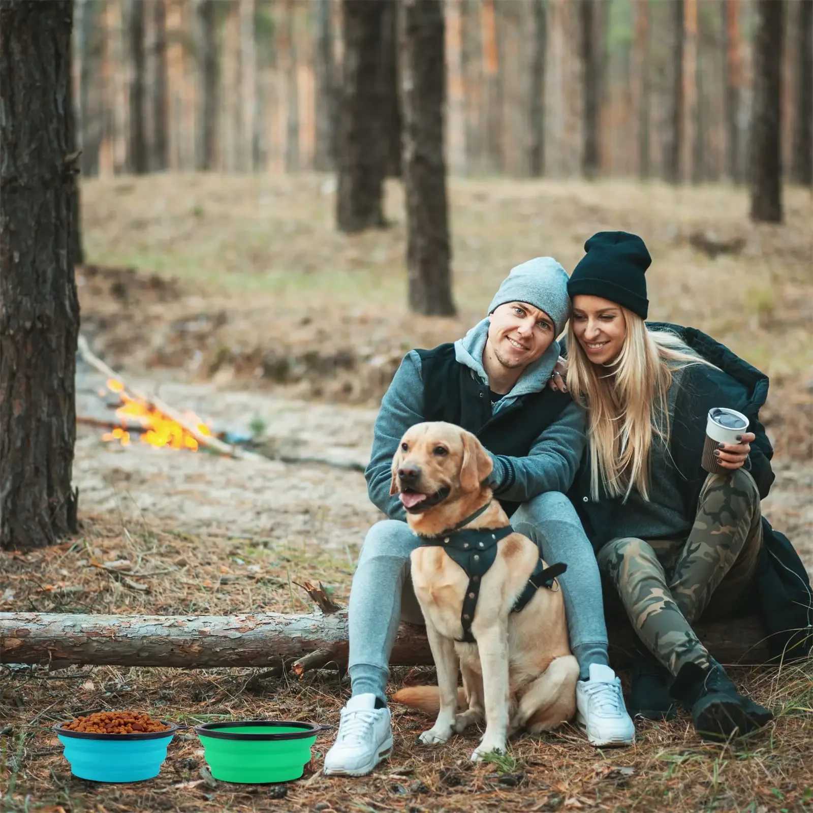 Foldable silicone dog food basin with bowl lips suitable for outdoor travel of pets portable with hooks used for pet supplies feeding bowl Y250319