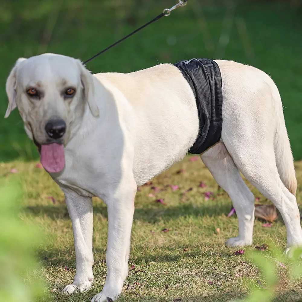 Washable pet diaper mens dog belly strap reusable belly packaging nap dog (1 piece) Y250320