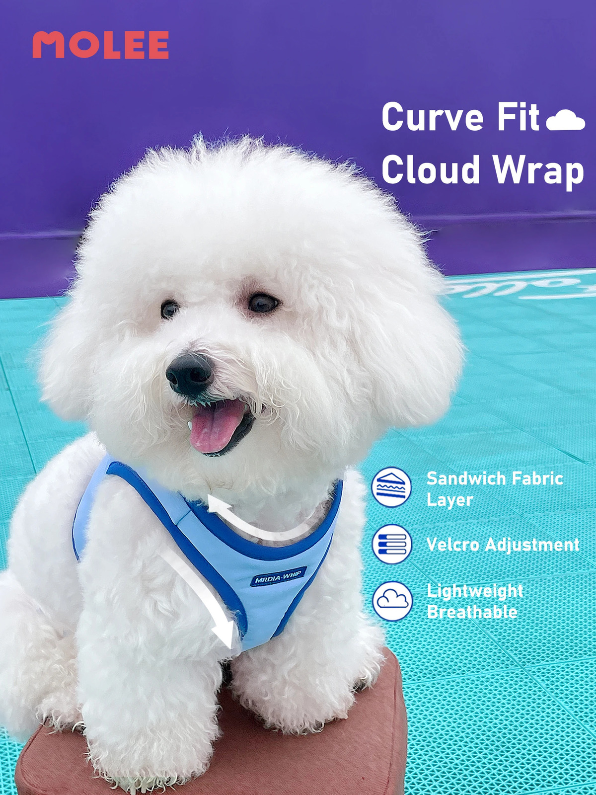 Dog vest medium to small dog Ibeam Bichon leash cat pet collar 250318