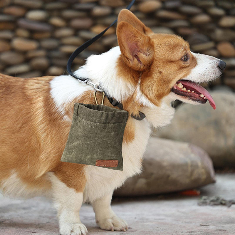 Outdoor travel waterproof and leak proof nylon portable pet storage bag (with climbing buckle) popular equipment for walking dogs on foot