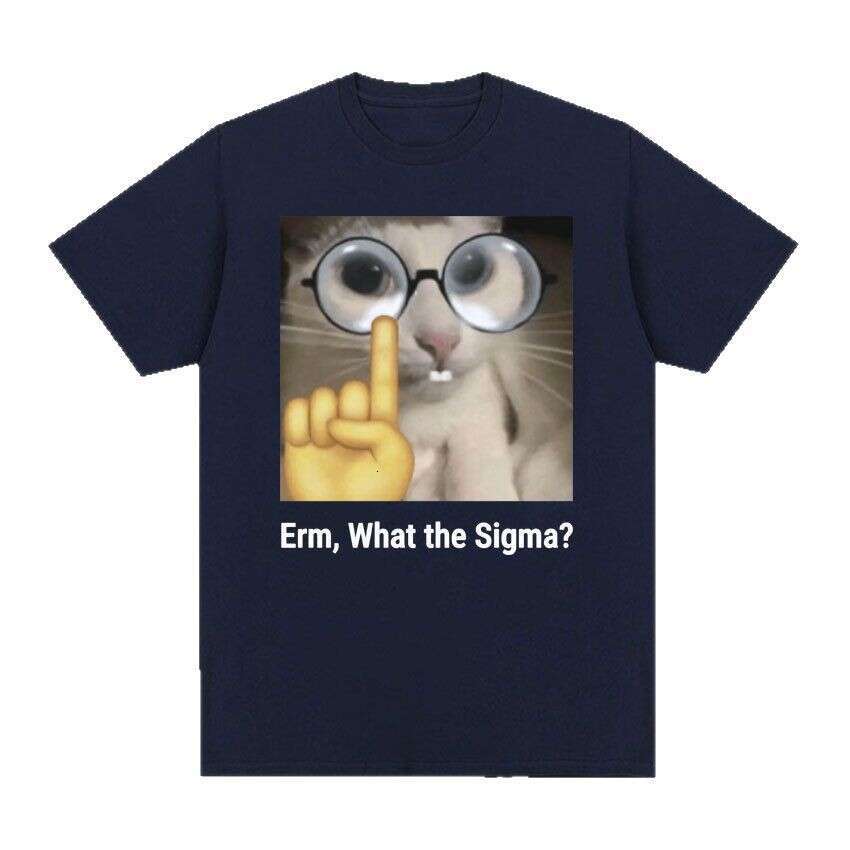 2025Erm, What The Sigma? Funny Cat Quick drying Couple Same T-shirt