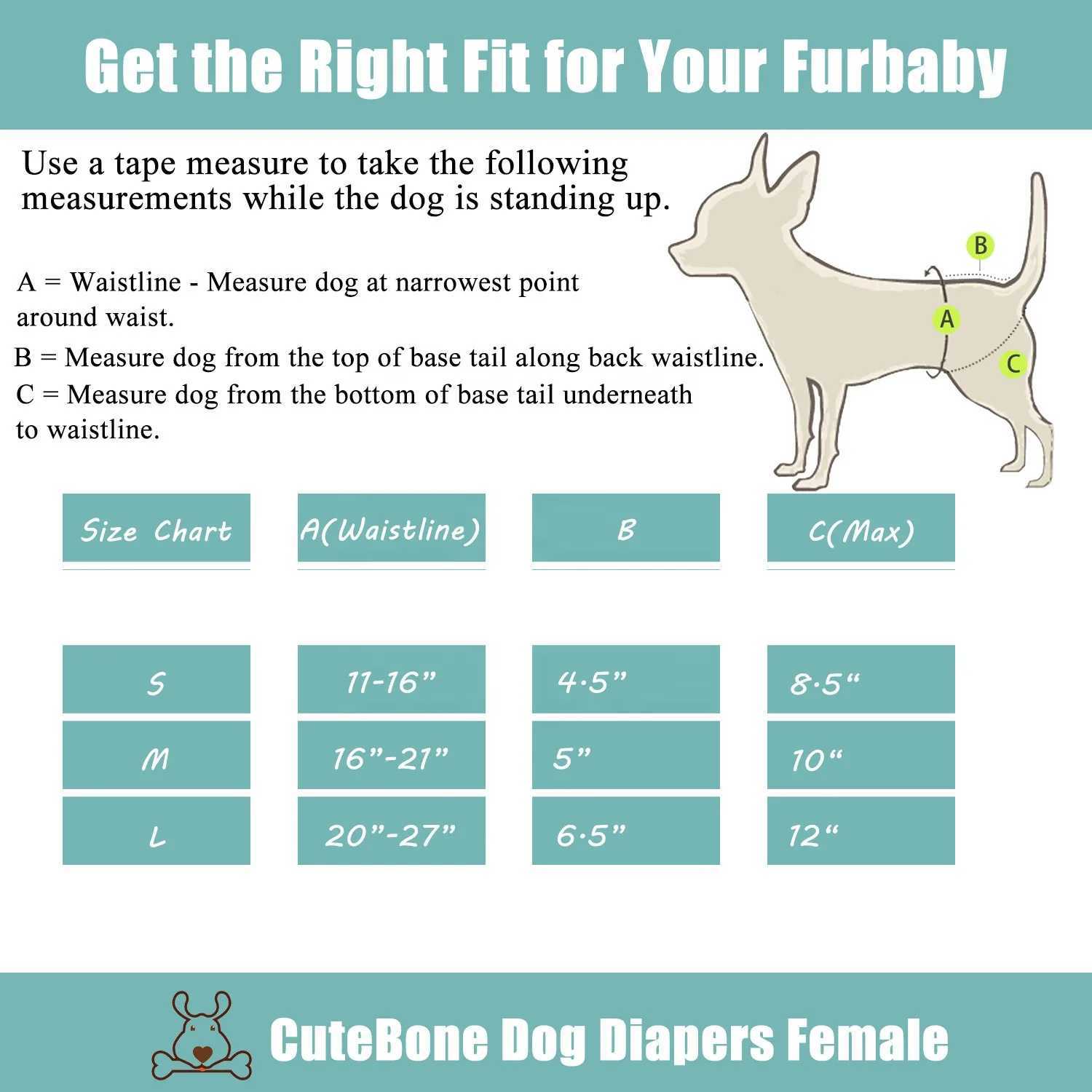 (3pcs per pack) CuteBone Female Dog Diapers Reusable Doggie Period Diapers Washable Dog Nappy Female for Heat Cycle Y250320