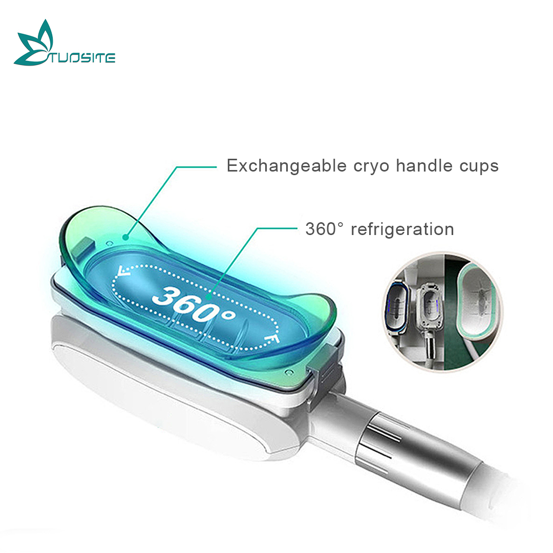 2025 New Vertical Slimming Fat Cryotherapy EMS Body Shaping Machine