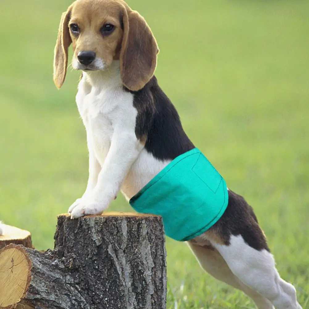 New washable mens dog diaper packaging pet boys dog cloth pajamas reusable pet dog underwear Y250320