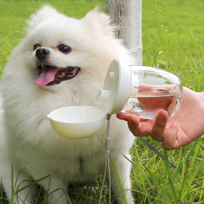 Pet Feeding Bowl Water Dispenser 2-in-1 Portable Food Foldable Design Portable Cat Outdoor Travel Mushroom Cup Pet Supplies Y250319