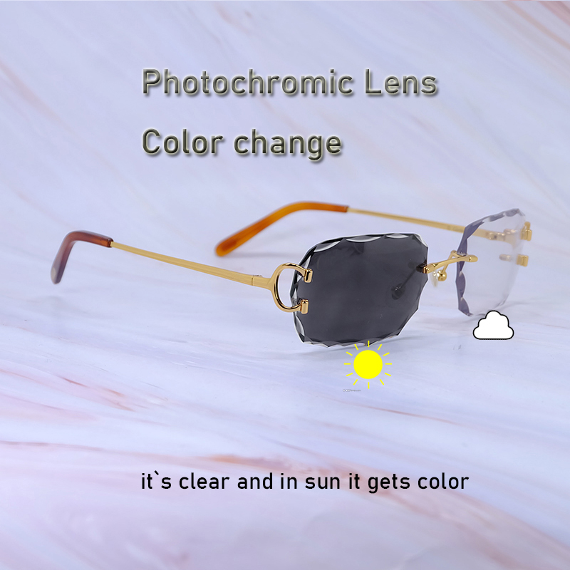 Photochromic Lens Sunglasses Double Wave Color Change Two Colors Lenses 4 Season Glasses Interchangble Luxury Carter Eyewear Gafas 828 Eyewear