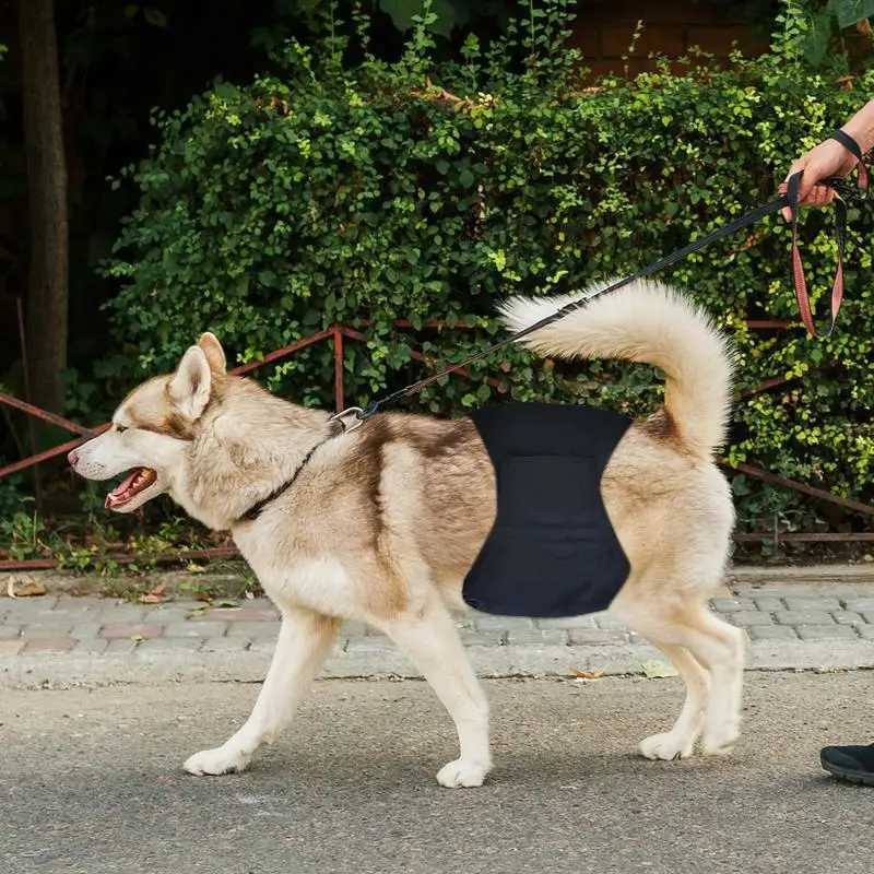 Pet diapers are used for men dogs leak proof dogs and women. Diapers are used for periodic dog urine training including dog urine diapers Y250320