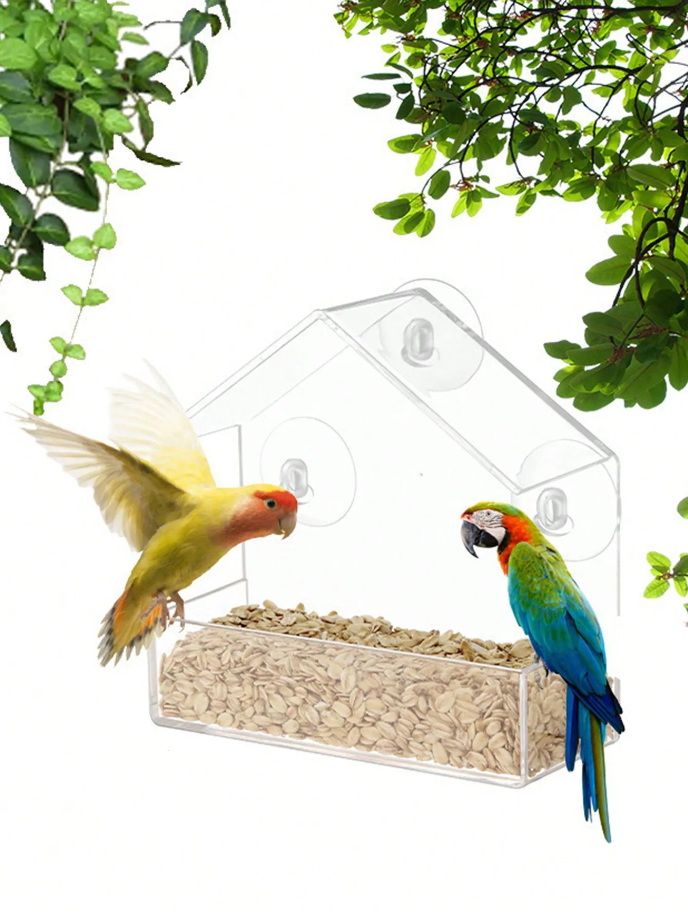 Acrylic Bird Feeder Clear Window Outside Hanging House with Suction Cup for Garden Outdoor Backyard Wildlife Birding 250320