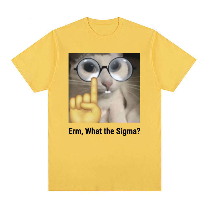 2025Erm, What The Sigma? Funny Cat Quick drying Couple Same T-shirt