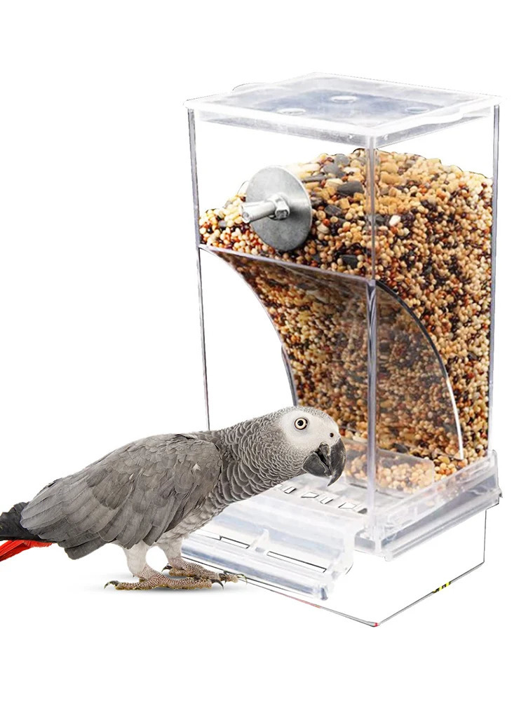 Chaos free bird feeder automatic parrot beverage acrylic seed food container cage accessories suitable for small and mediumsized parachutes 250320