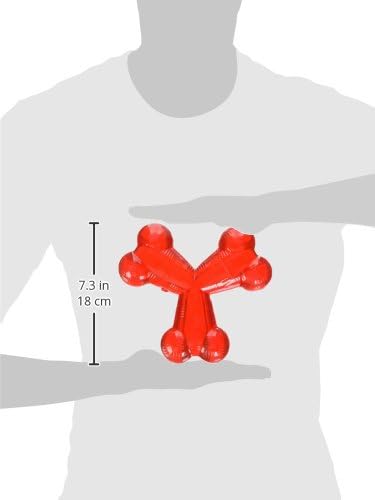 SPOT Play Strong Trident Bone - Durable Dog Toy for Aggressive Chewers, Interactive Chew Toy for Puppies and Adult Dogs, Red 6-Inch - Training and Enr