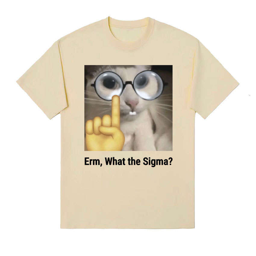 2025Erm, What The Sigma? Funny Cat Quick drying Couple Same T-shirt