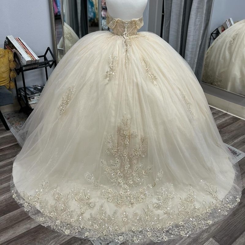 Light Champagne Shiny Quinceanera Dresses Sequin Lace Applique Beads Tull Sweet 16 Birthday Party Ball Gown Corset Vestidos De 15 Anos