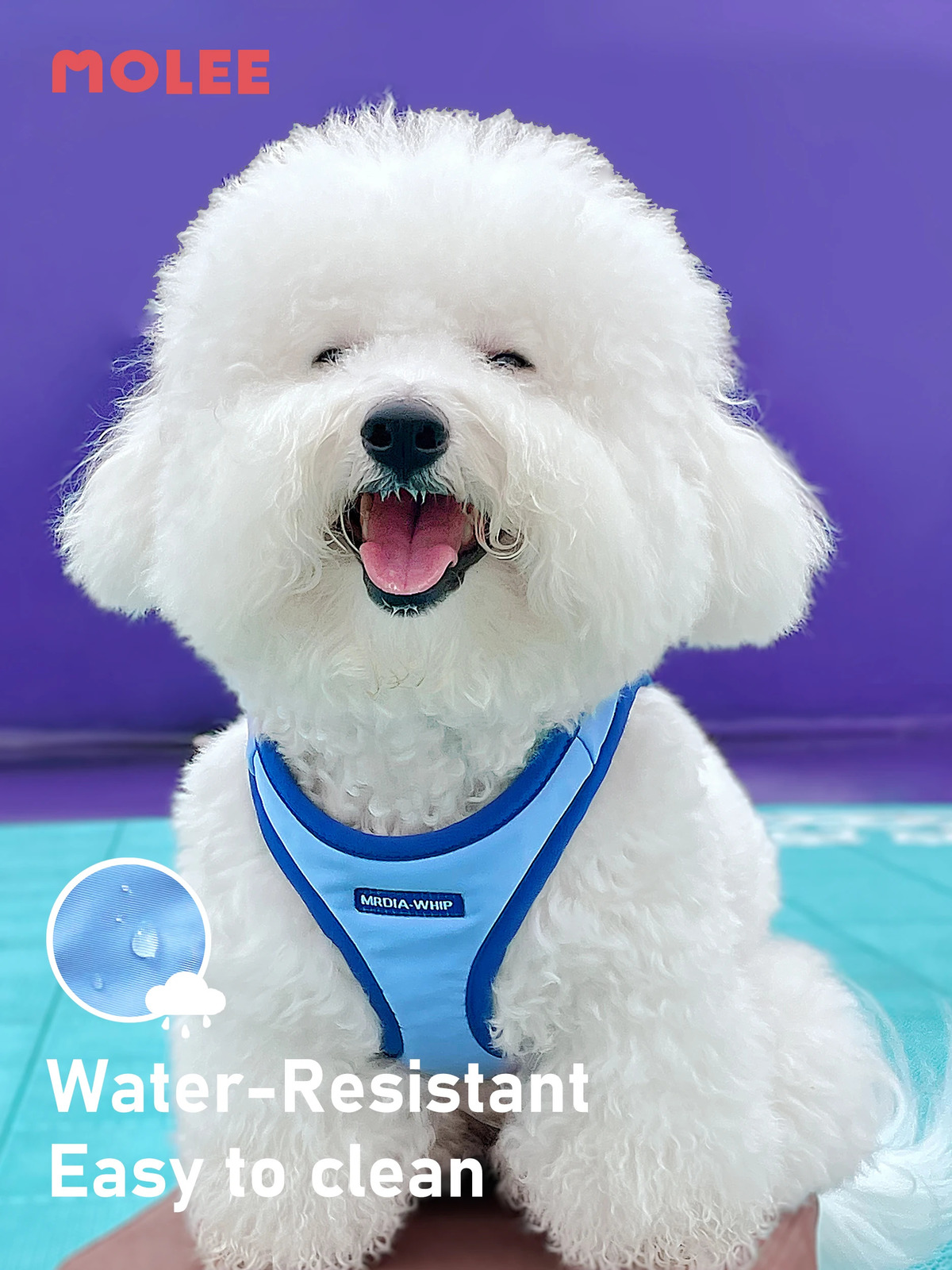Dog vest medium to small dog Ibeam Bichon leash cat pet collar 250318