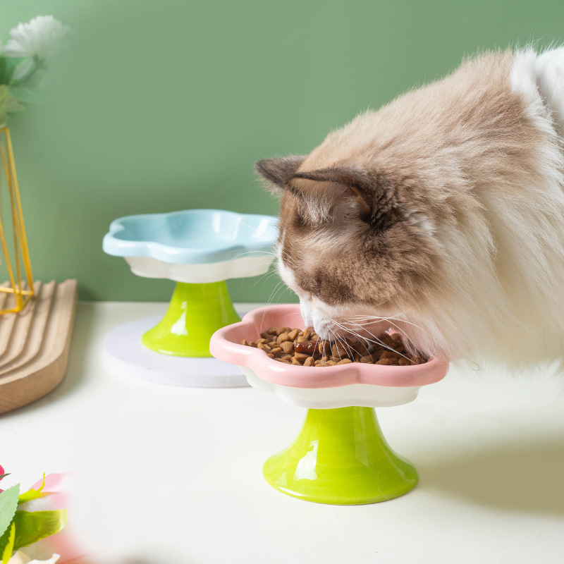 Ceramic Raised Cat Bowl With Flower Design, Elevated Cat Food Bowl Water Plate Snack Dish With Stand For Neck Protection
