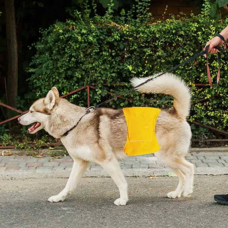Pet diapers are used for men dogs leak proof dogs and women. Diapers are used for periodic dog urine training including dog urine diapers Y250320