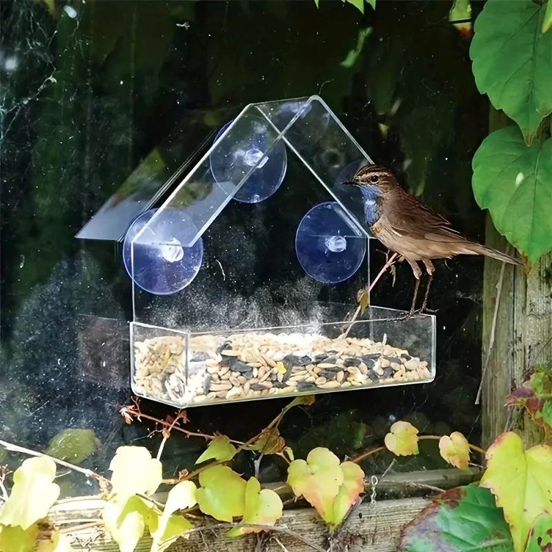 Acrylic Bird Feeder Clear Window Outside Hanging House with Suction Cup for Garden Outdoor Backyard Wildlife Birding 250320