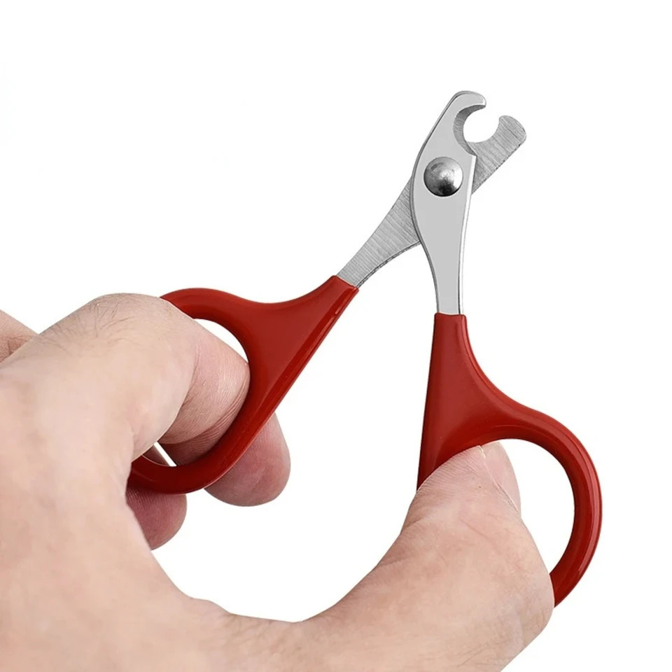 Cat Nail Clipper Pet Dog Claw Trimmer Beauty Products 250320
