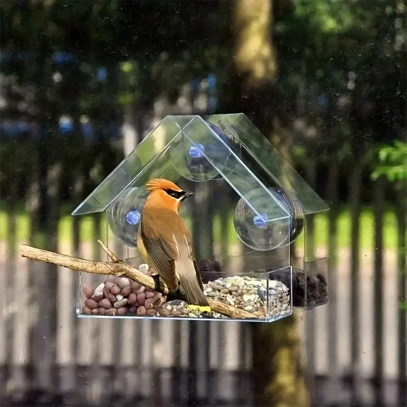 Acrylic Bird Feeder Clear Window Outside Hanging House with Suction Cup for Garden Outdoor Backyard Wildlife Birding 250320