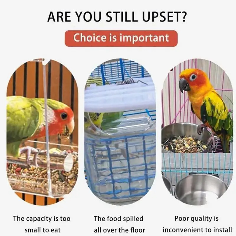 Automatic Parrot Food Feeder No Messes Bird Feeders Acrylic Seed Container Cage Accessories For Small And Medium Parakeets 250320