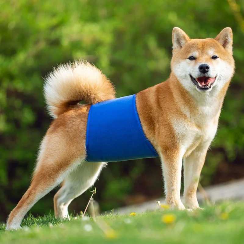 Pet soft dog belly strap washable male dog diaper belly strap reusable male dog belly bag Y250320