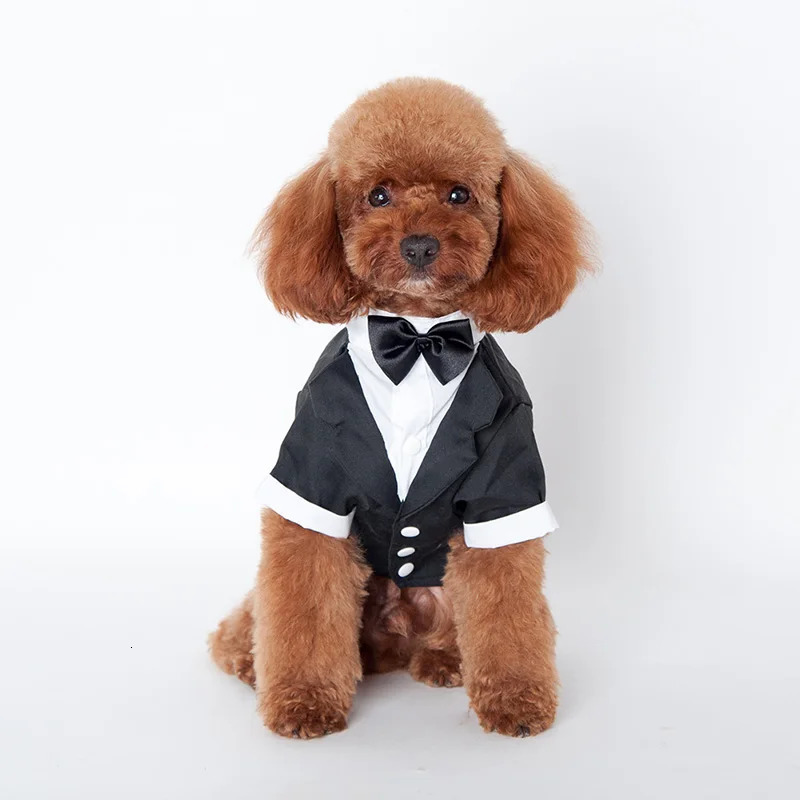 Dog tailcoat formal shirt dog wedding black jacket set pet tie 250318
