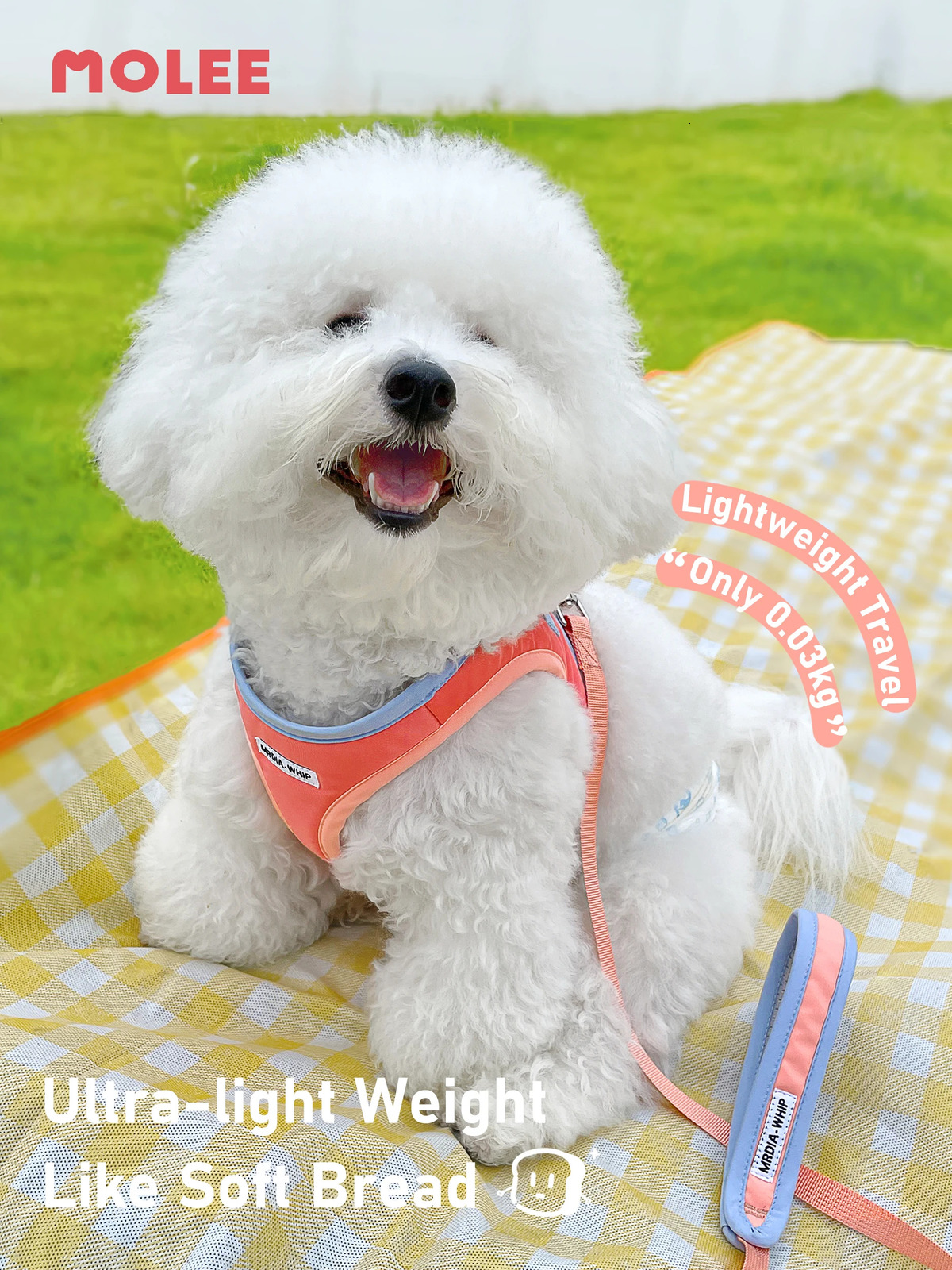 Dog vest medium to small dog Ibeam Bichon leash cat pet collar 250318