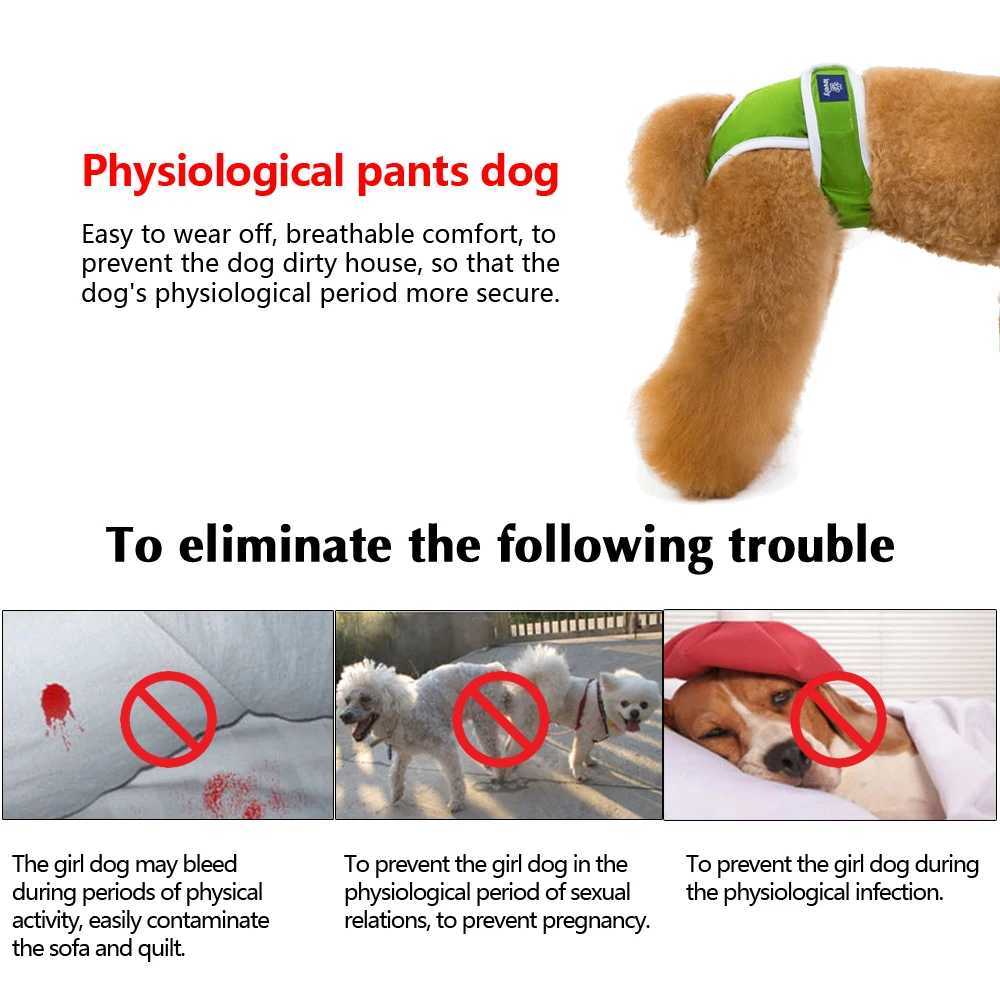 Dog physiological underwear washable dog diaper soft womens dog shorts mens sanitary underwear Y250320