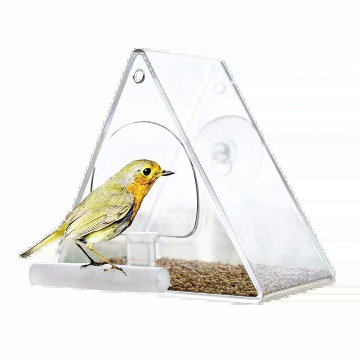 The super strong suction cup and weather resistant n of the triangular acrylic feeder in garden courtyard 250320