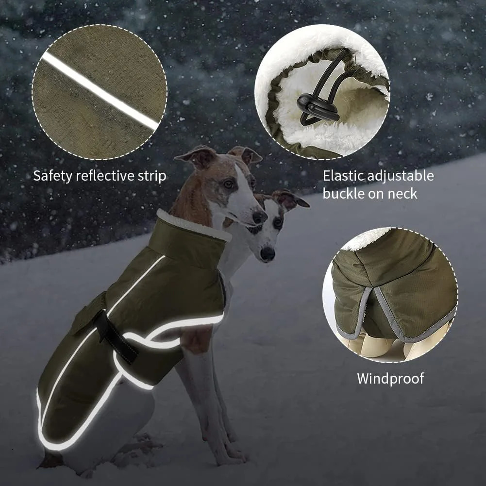 Large dog jacket warm clothing winter French bulldog reflective cold weather pet snow 250318