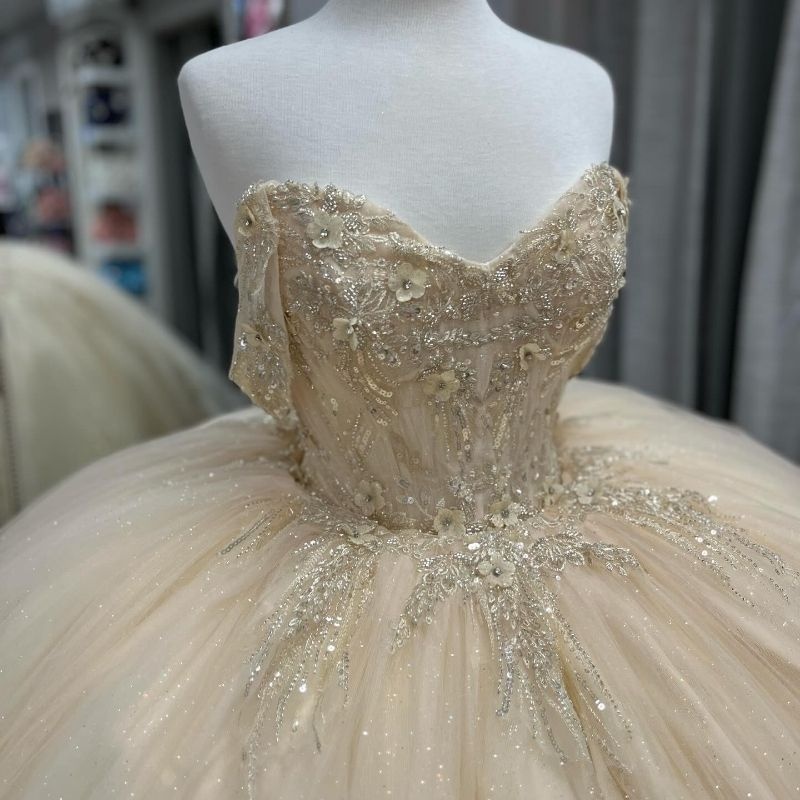 Light Champagne Shiny Quinceanera Dresses Sequin Lace Applique Beads Tull Sweet 16 Birthday Party Ball Gown Corset Vestidos De 15 Anos
