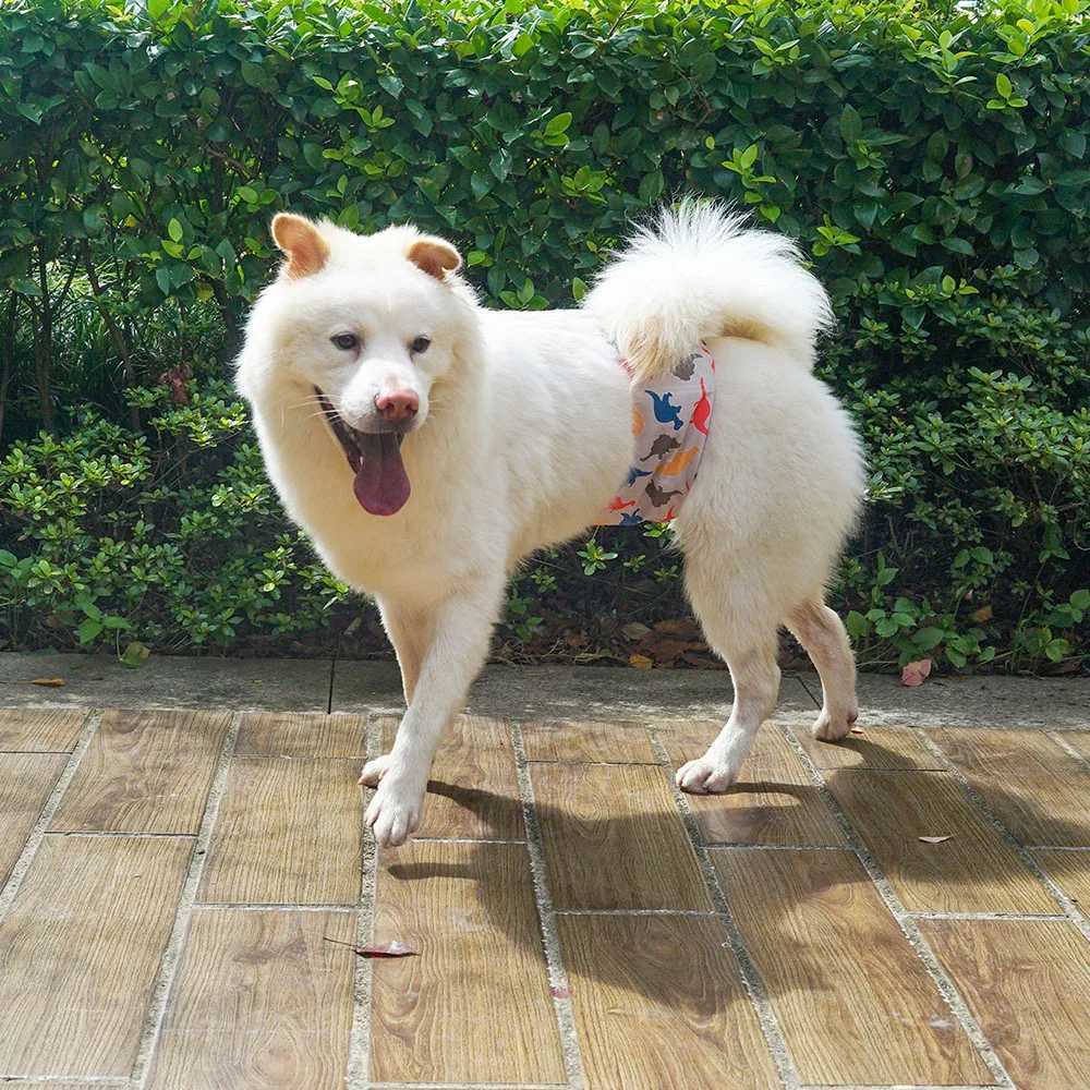 BIAI 1PC Durable Washable Mens Dog Diaper Packaging Pet Boy Dog Cloth Sleepwear Reusable Pet Dog Underwear Y250320