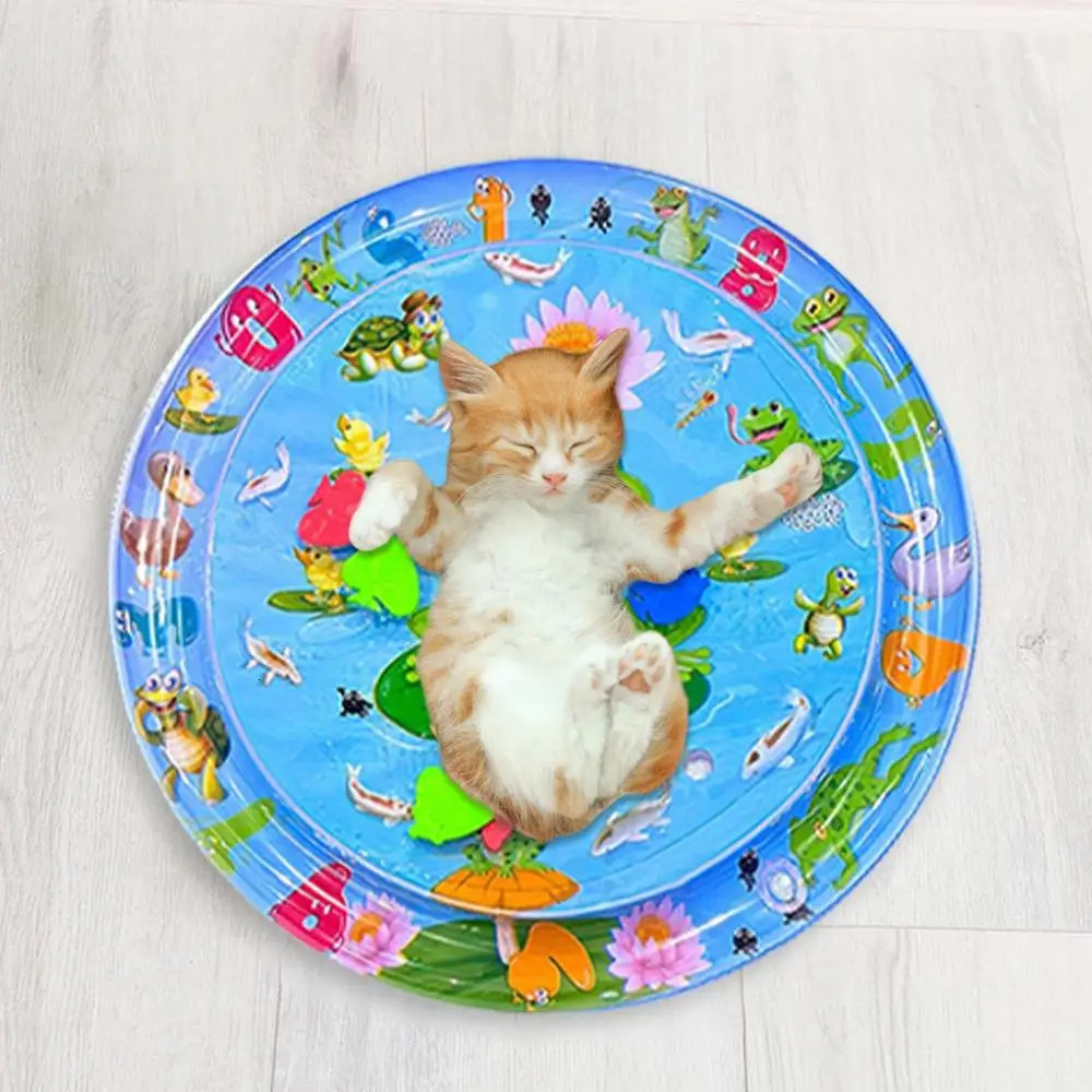 Sensory Water Play Mat For Cats Pad Thickened Playmat Pet Toy 250320