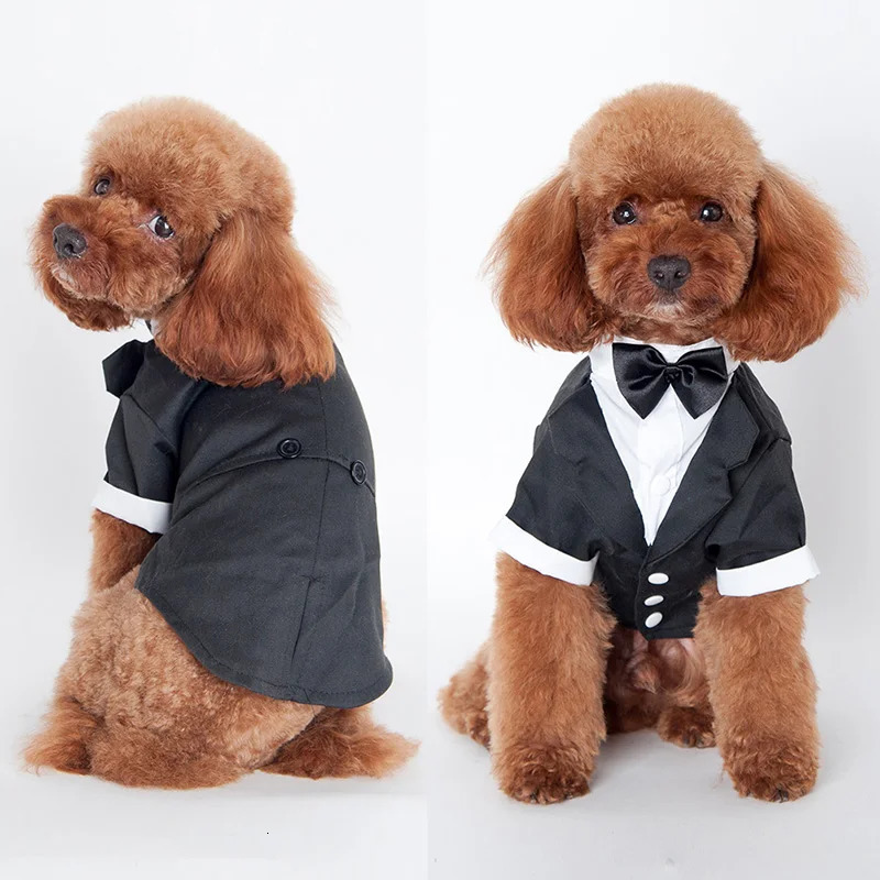 Dog tailcoat formal shirt dog wedding black jacket set pet tie 250318