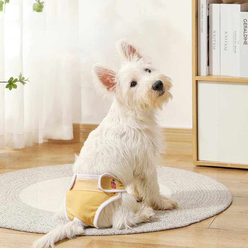 Mens dog pad holder breathable dog cycle pad for underwear of small and medium-sized dogs Y250320