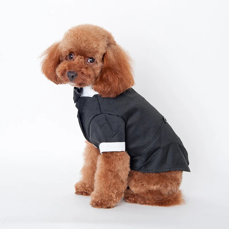 Dog tailcoat formal shirt dog wedding black jacket set pet tie 250318