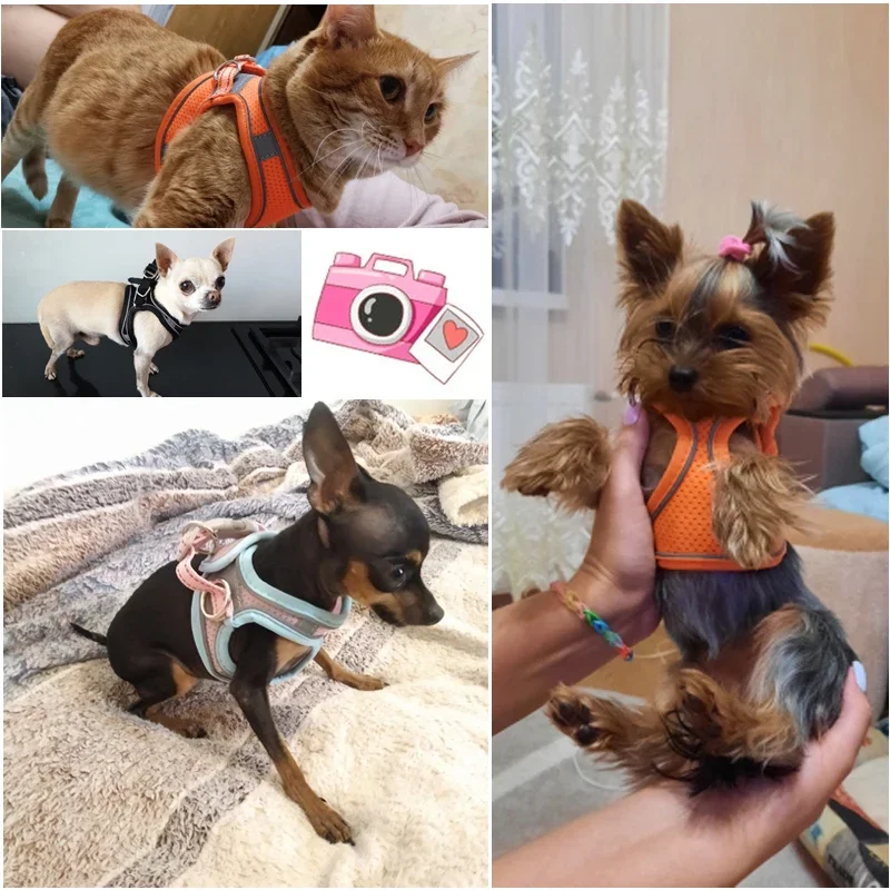 Nylon Dog Harness and Leash set Reflective Pet Harness Vest Breathable Adjustable Collars For Chihuahua Small Large Dogs