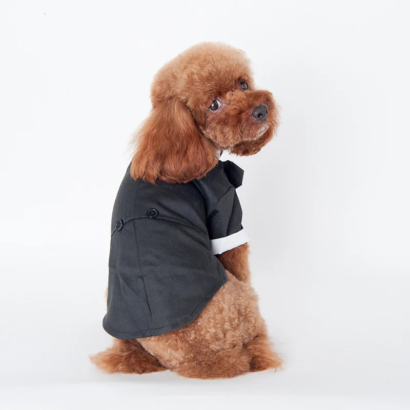 Dog tailcoat formal shirt dog wedding black jacket set pet tie 250318