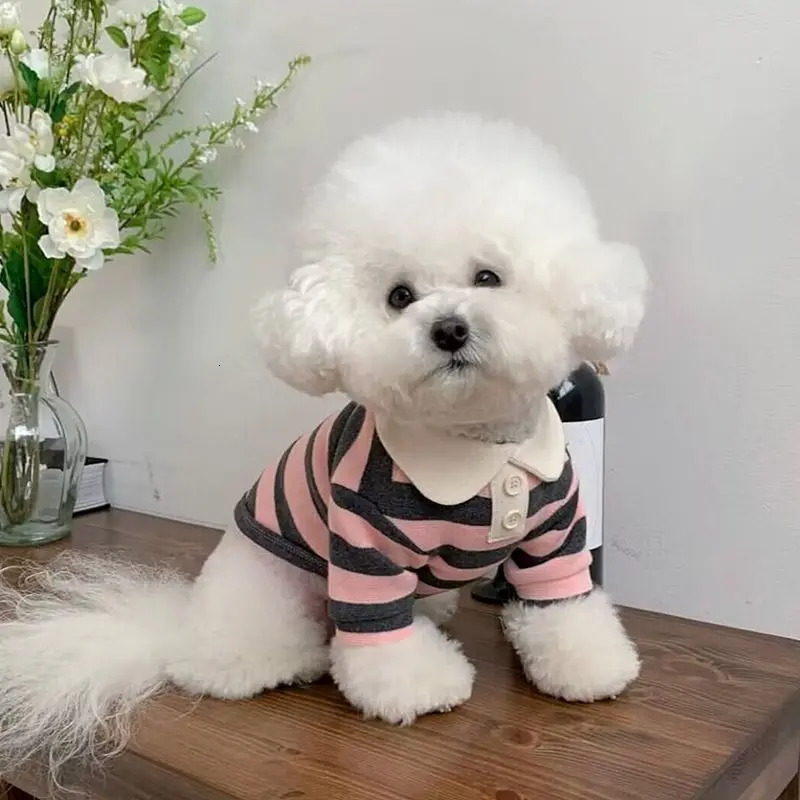 Dog clothing Schnauzer Teddy Yorkshire polo shirt summer dress striped pet Tshirt dog soft zipper set 250318