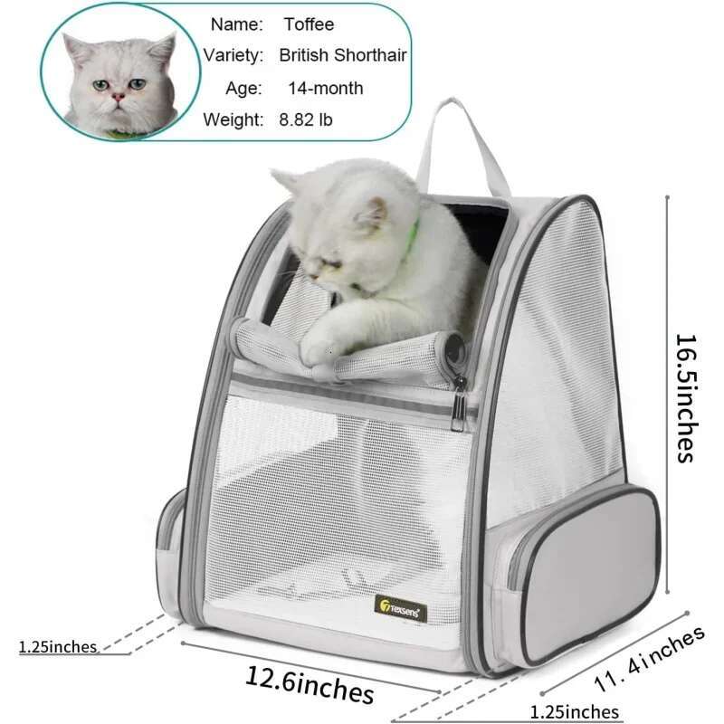 Pet Backpack Carrier Small Cats Dogs Ventilated Design, Safety Straps, Buckle Support, Collapsible | Designed Trav