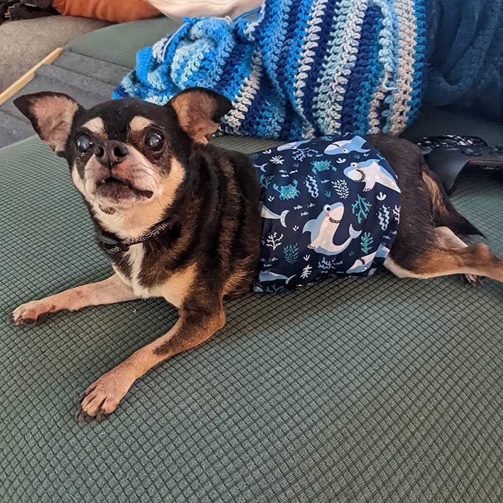 Reusable mens dog diaper suitable for small and medium-sized dogs high absorbency pet belly strap washable puppy Chihuahua puppy mascot underwear Y250